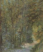 Vincent Van Gogh Path in the Woods (nn04) Sweden oil painting reproduction
